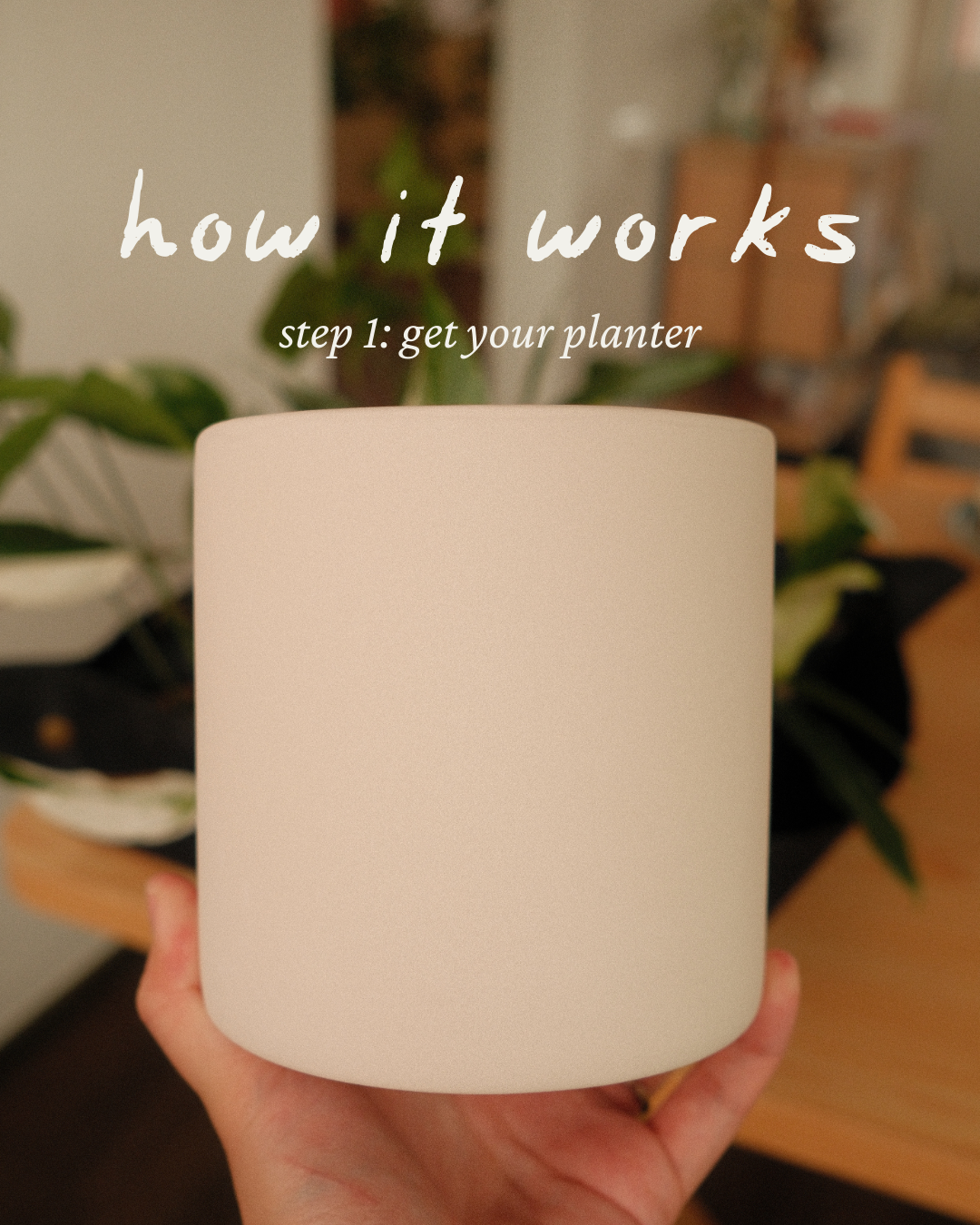 Paint a Plant Pot