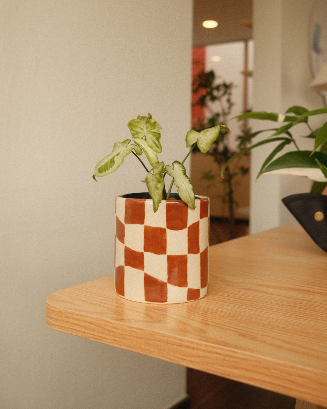 Paint a Plant Pot
