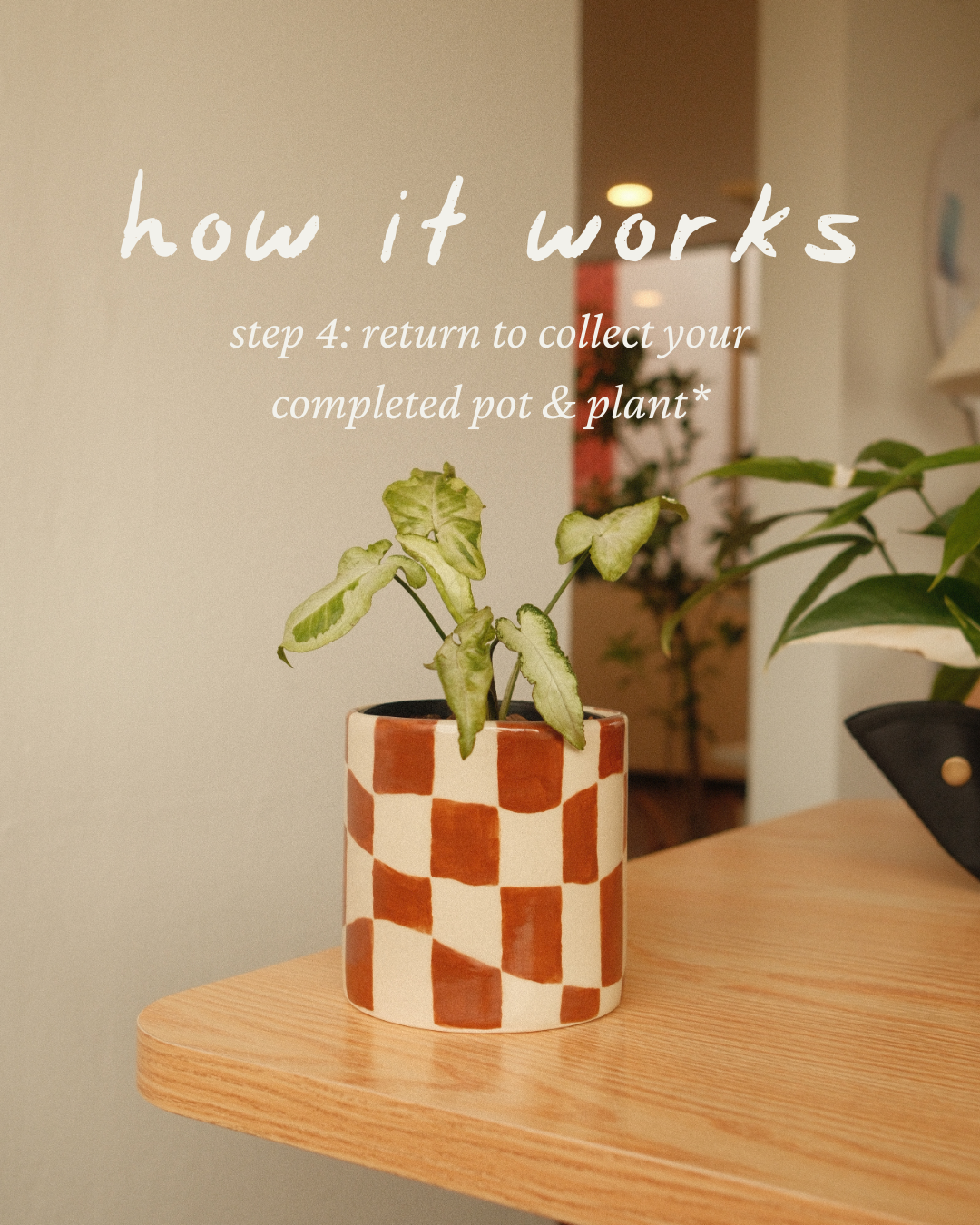 Paint a Plant Pot